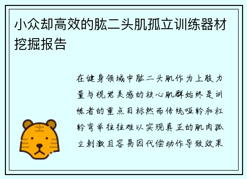 小众却高效的肱二头肌孤立训练器材挖掘报告